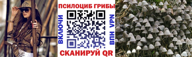 Псилоцибиновые грибы мухоморы  закладка  Среднеколымск 